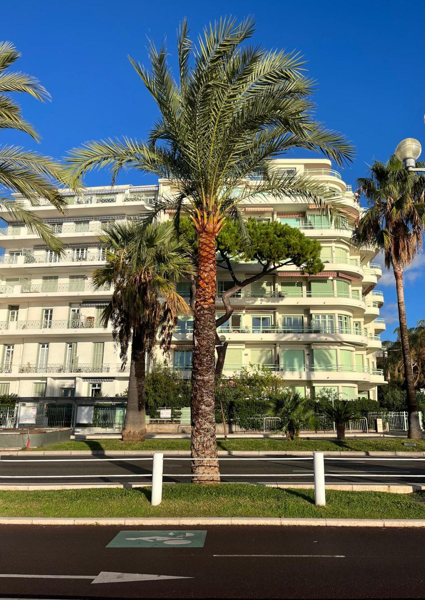 Nice 115 By The Sea Dış mekan fotoğraf